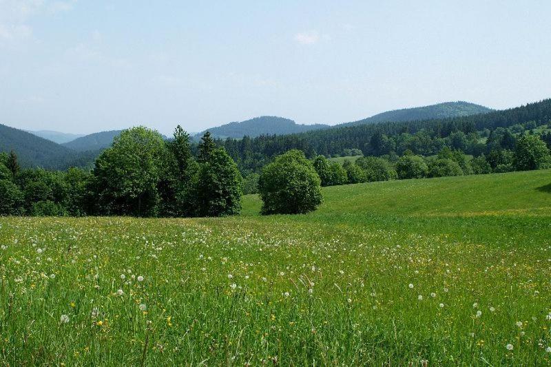 Penzion Stara Fara Makov Exterior foto